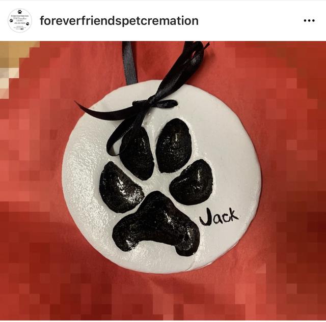 How to Get Your Pet's Paw Print - Andrea Shelley Designs